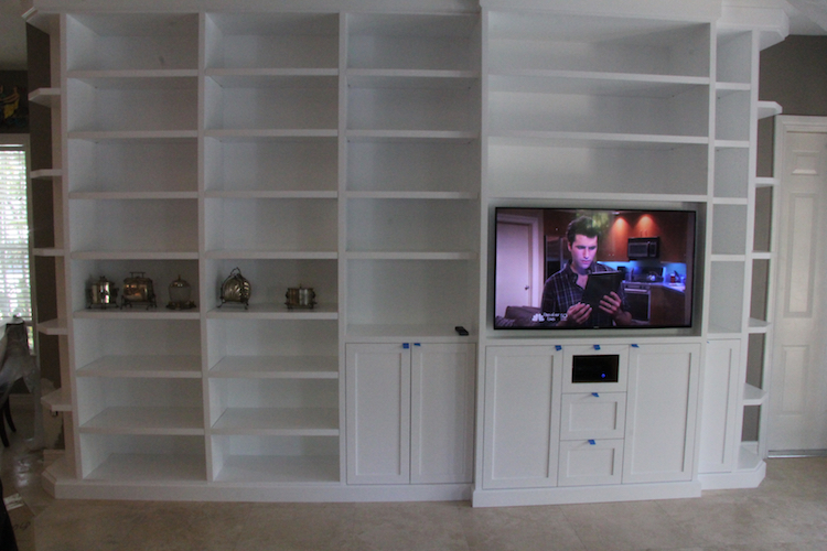 Jay_s Custom Wall Unit